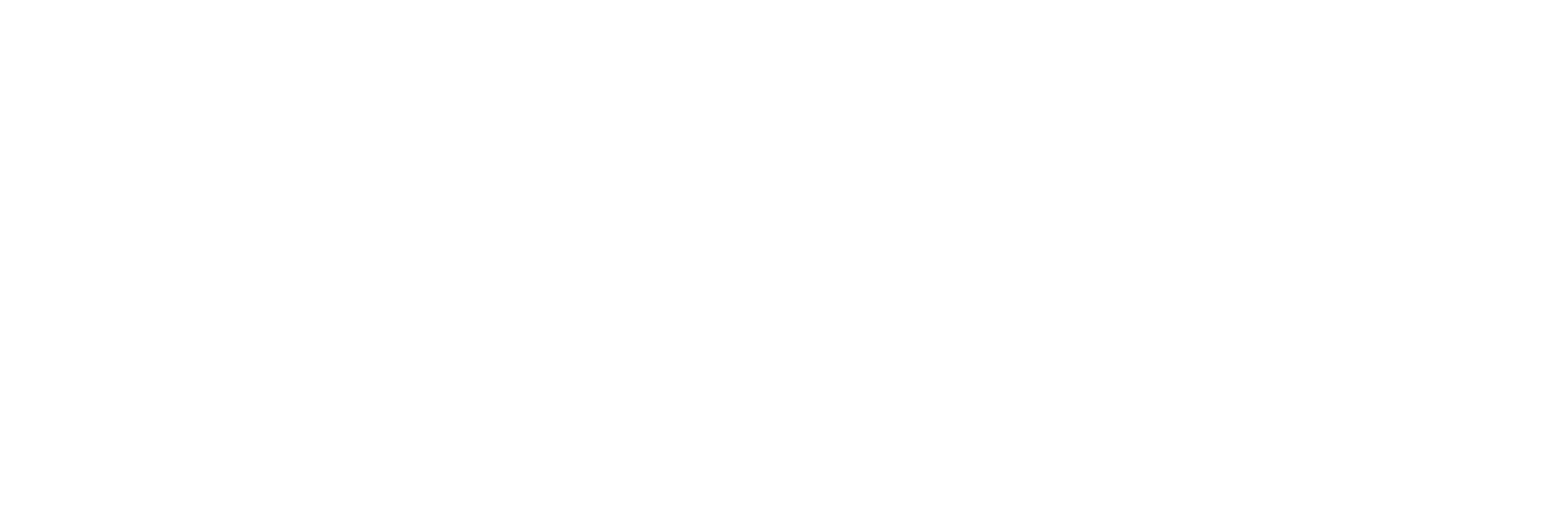 flxbl-logo-weiß